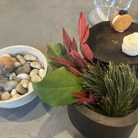 セリュー - 