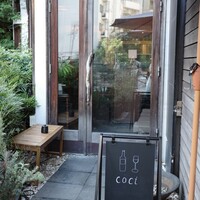 coci - 