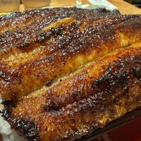 炭焼 うな富士 有楽町店 - 