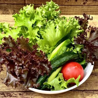 無農薬・水耕栽培の鮮度抜群サラダ