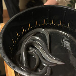 日本料理 梅林 - 