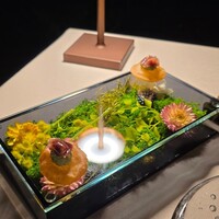 ブレストンコート ユカワタン - 