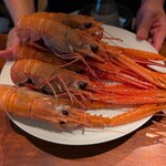 蒼 - 長井産赤座海老