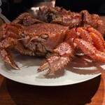 蒼 - 金沢産毛蟹