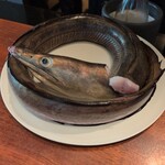 317978675 - 愛媛県産の鱧