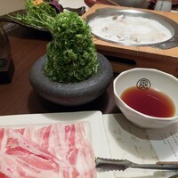 豆乳とんしゃぶ 寅太郎 - 