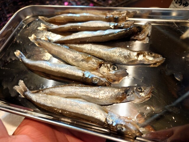 焼肉ジンギスカン じん - 釧路（ジンギスカン）の写真