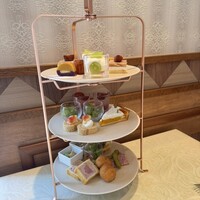 tcc GINZA -  tcc GINZA -