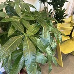 洋食堂なか田 定食堂なか - 内観