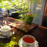 サロン・ド・テ・ラヴォンド - 