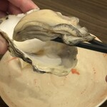 かすうどん 風土 - 