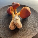 middle - タマゴダケ