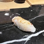 大工町 鮨人 はなれ - アオリイカ。裏表に包丁が入っており、先の白エビと食感が変わらない。見た目も凄く似ている。コレは大将のイタズラか。楽しいイタズラ。