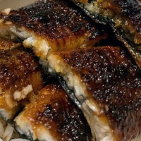 炭焼 うな富士 有楽町店 - 