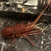 TEPPANYAKI 10 STEAK & LOBSTER - 
