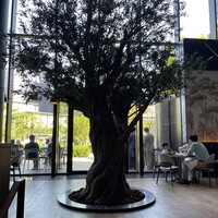 ジャヌ メルカート - 