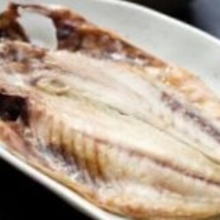 伊豆高原わんわんパラダイスホテル_0