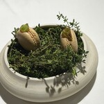 ラ・ヴァガボンド - 