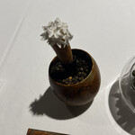 ラ・ヴァガボンド - 