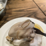 オストレア oysterbar&restaurant  - 