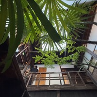 先斗町 魯ビン - 