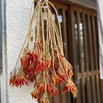 蕎麦と酒処 きくち - 