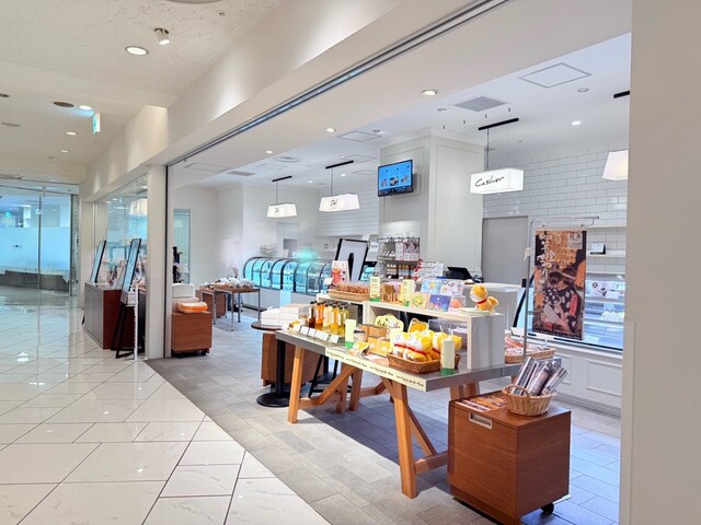 Castle Delica photo 4