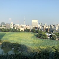 東天紅 上野店 - 