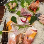 いかの墨 新潟駅前店 - 