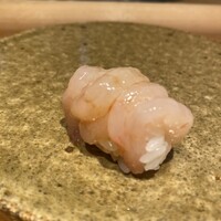 鮨 こしかわ - 