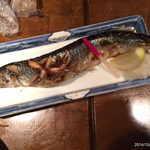 御酒印船 - 秋刀魚