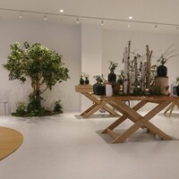 ENEKO Tokyo - 