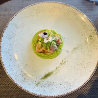 Wattle Tokyo - 