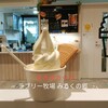 ラブリー牧場みるくの郷 - 料理写真:まきばカップ