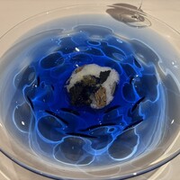 ニシデリア - 