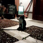 あべくん珈琲 - 