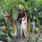 ユーエスケー コーヒー - 