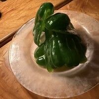 カルネジーオ イースト - 