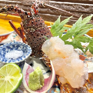 石巻産伊勢海老