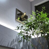 misola - 