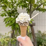 FORTUNE ICE CREAM - 料理写真: