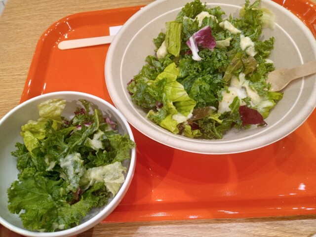 邦楽 SUPER SALAD VOL. 1 71Bqw2UftGL._AC_UF350,