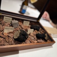 Terres de Truffes, Tokyo - 