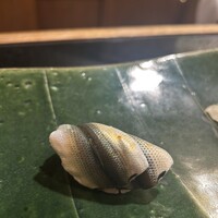 地魚料理・鮨 佐々木 - シンコ