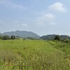 さが野 - 