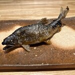 旬菜旬魚 たじま - 