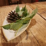 オステリア セルヴァジーナ - 秋田から届いたミズ