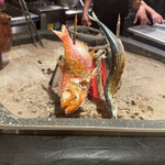 炭火焼きしんかい - 