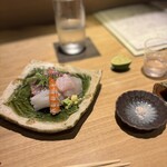 旬彩 鯛樹 - お造り