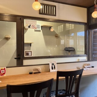 夏目〜猫と暮らす自然派ご飯のお店〜_2